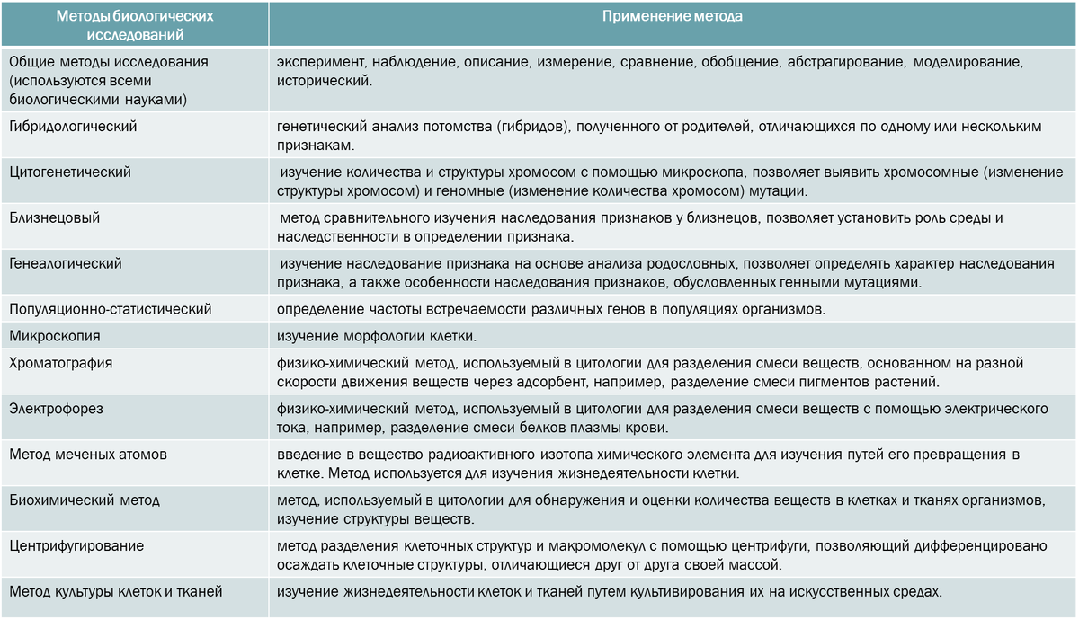 Для 10 - 11 классов: в помощь для решения заданий ЕГЭ (линия 1) | Елена  Пластинина | Дзен