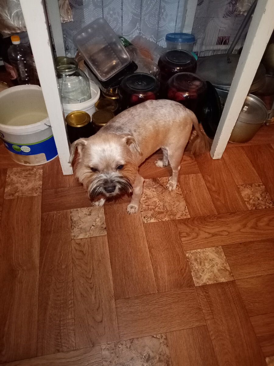 Вон какой недовольный! Сердитый. 