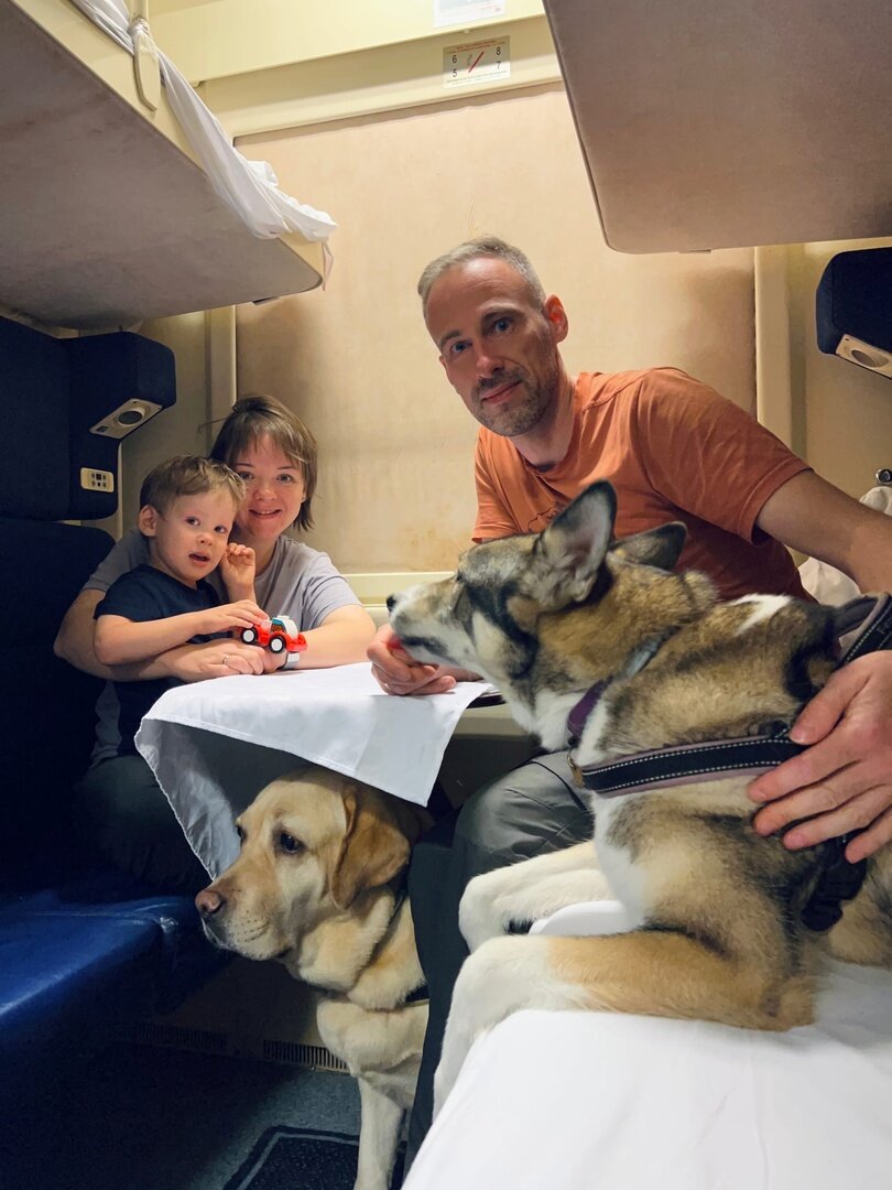 С двумя крупными собаками и ребенком из Петербурга в Москву и обратно