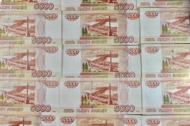    Деньги Дарья Антонова © ИА REGNUM