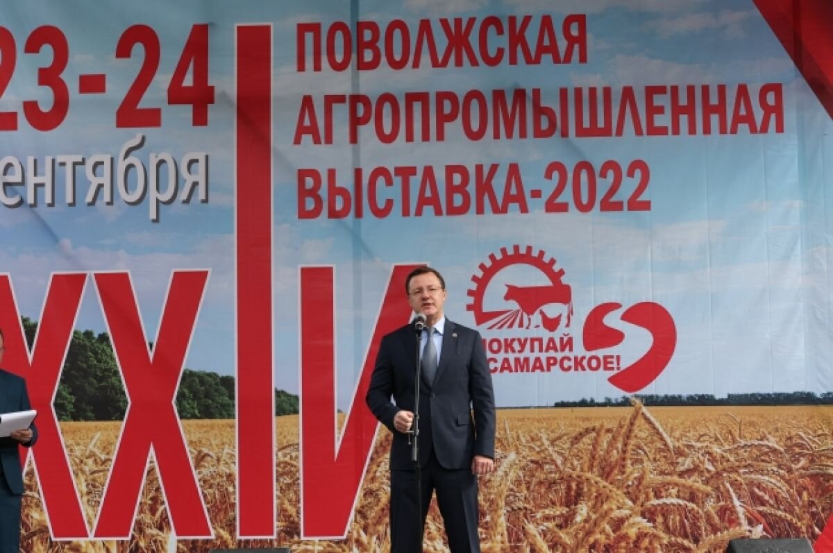    Время рекордов. Как господдержка помогла самарским аграриям