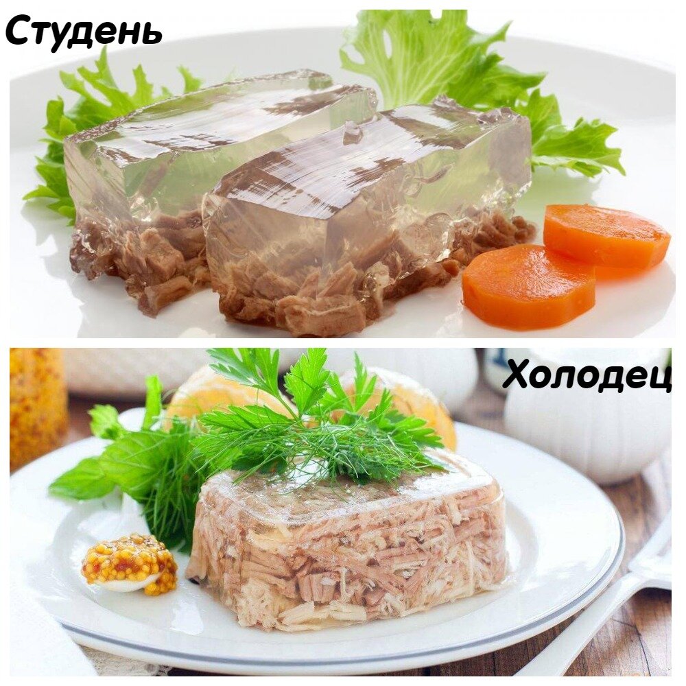 Чем отличается холодец