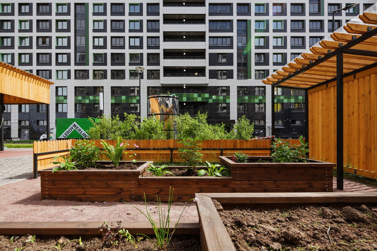 Реальность