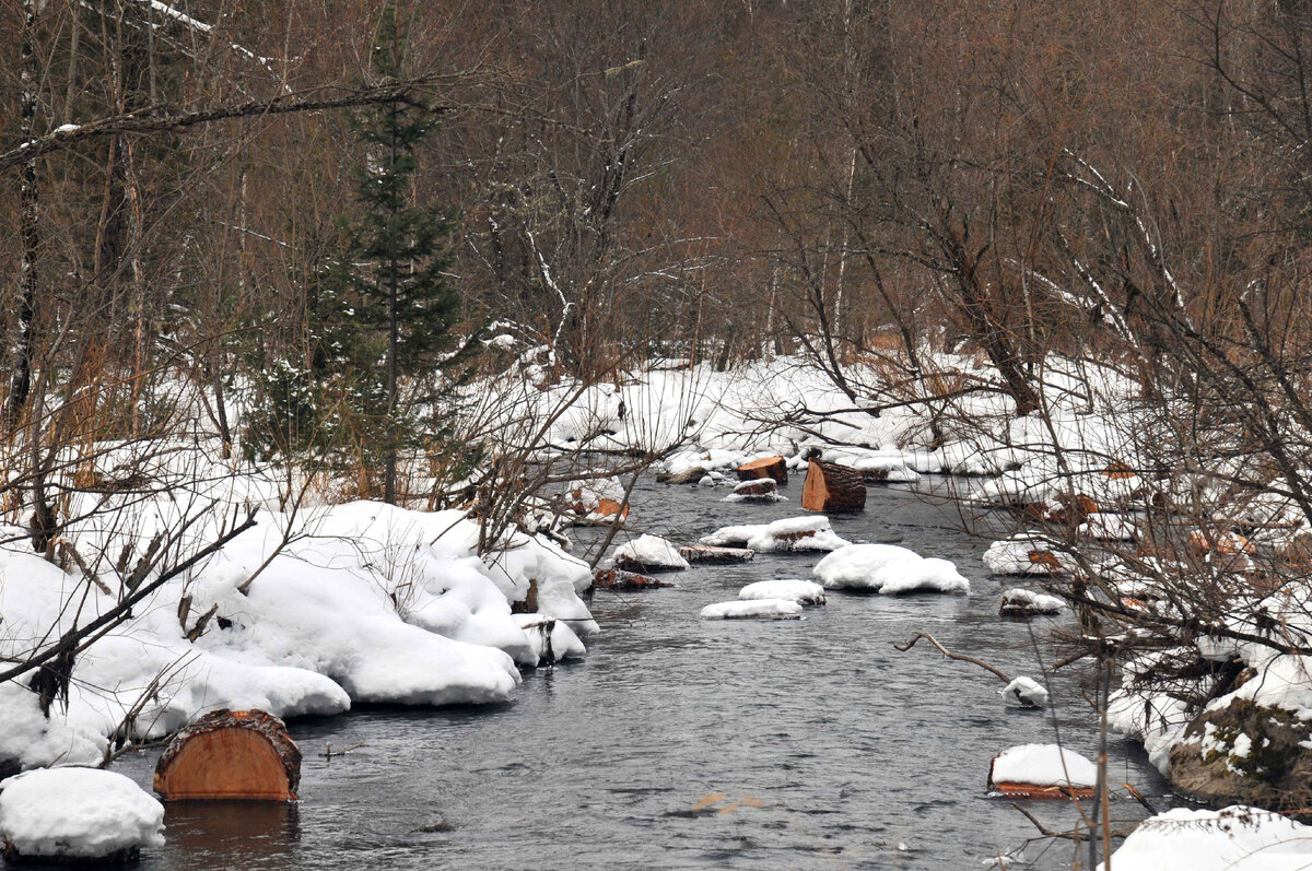 Река Куюм. заготовка дров. Фото Ольга Шадрина