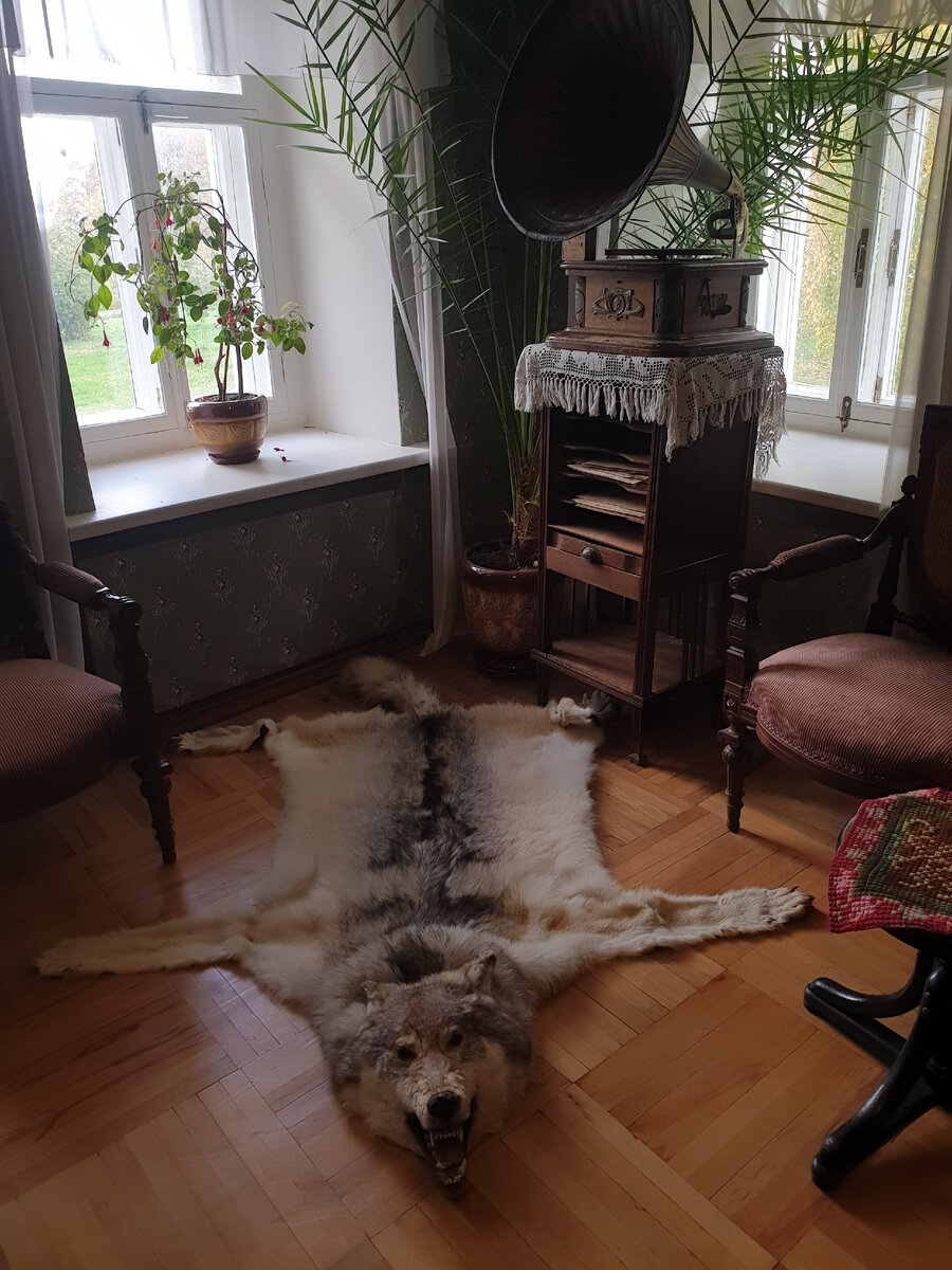 Очень грозный волк в кабинете помешицы Л.И. Кашиной.