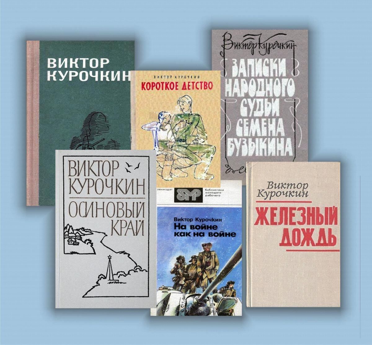 Нельзя желать того, чего не знаешь… На войне как на войне. Виктор Курочкин  похоронен в Комаровском некрополе | Вдоль по Питерской | Дзен