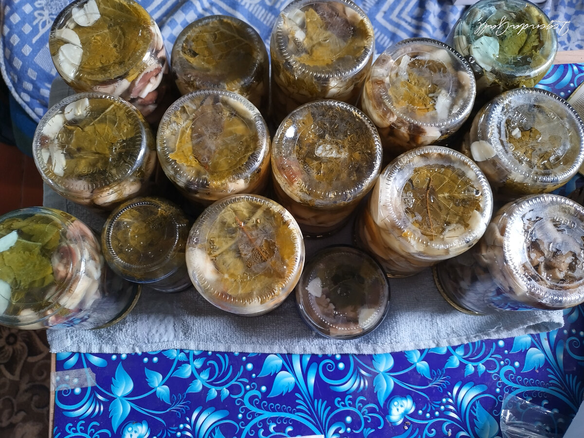 4 банки опят, 6 банок белых, 5 банок маслят.