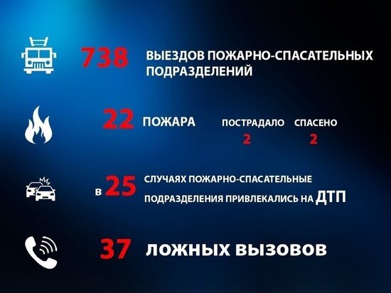    фото: МЧС России по Тульской области