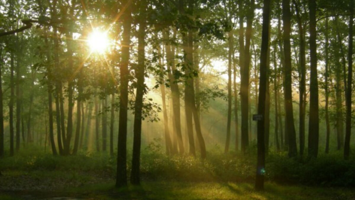 Свет внутри