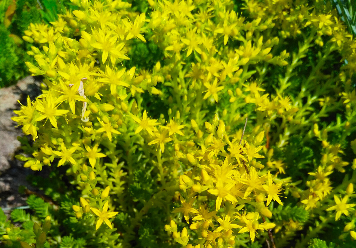 Здесь спрятано несколько фактов. Угадаете какие? 