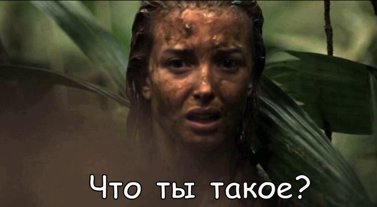Ответ у неё на лице