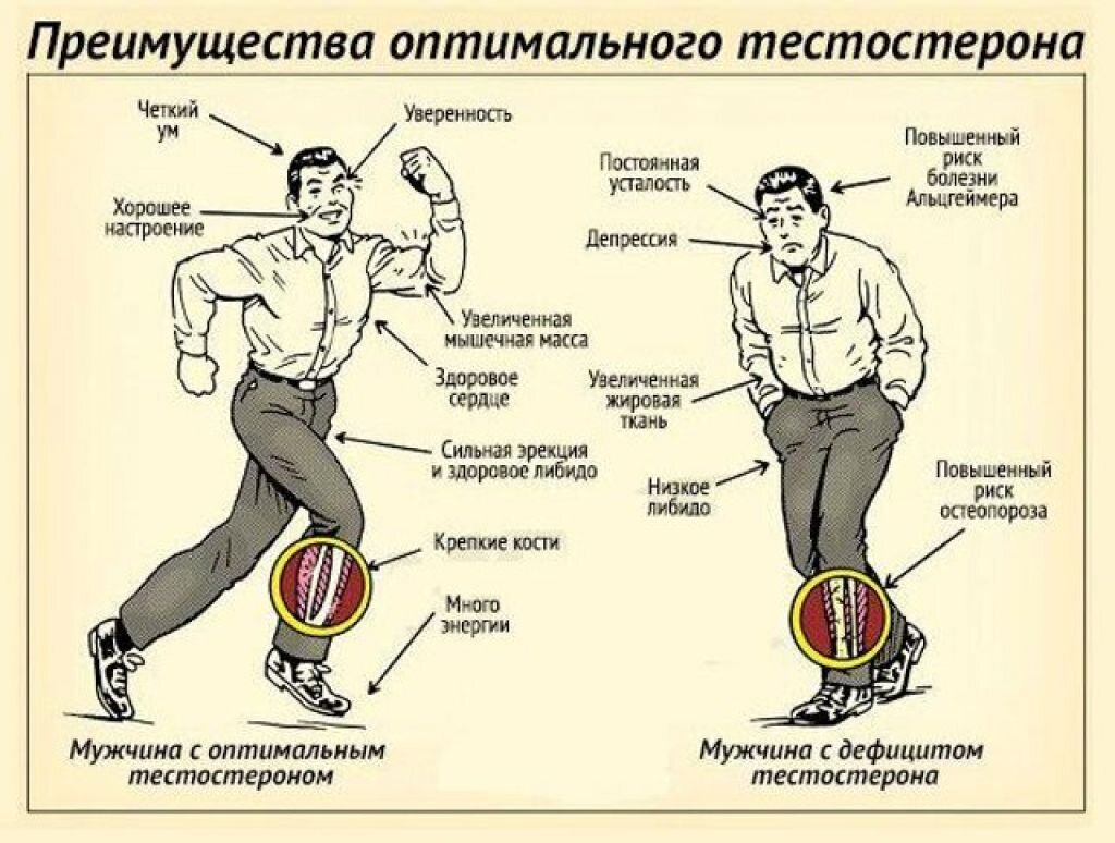 Повышение тестостерона у мужчин