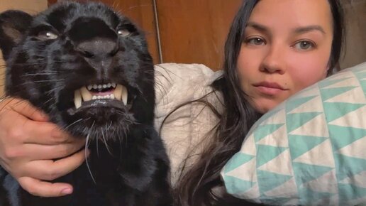 Пантера Луна в городе🐆/ Наши дальнейшие планы🤔# | Жизнь Пантеры Луны | Дзен