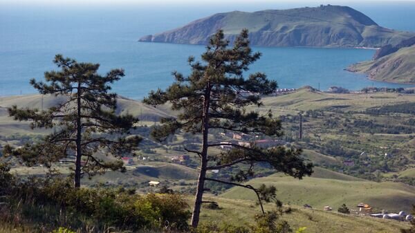   © РИА Новости . Сергей Мальгавко