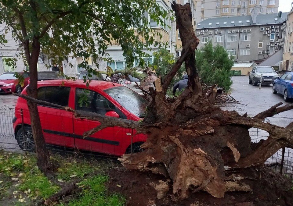     Ближе всего к дереву оказался красный автомобиль "Хендай". Анастасия ТАЛЫЗИНА