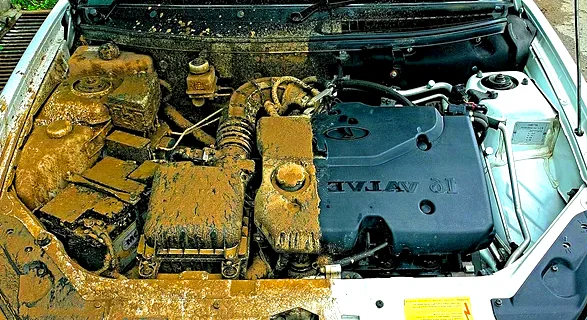 Добавьте описание