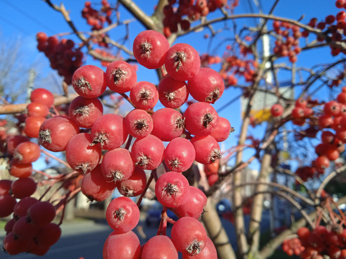   ГТРК "Ставрополье"