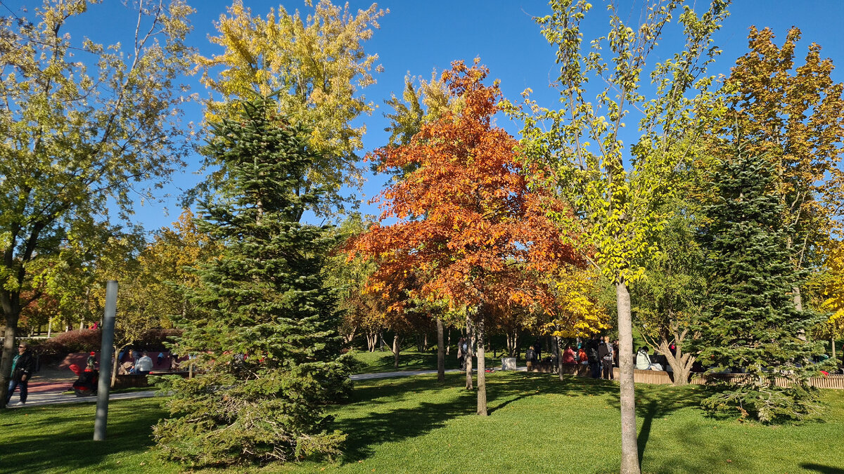 Парк в октябре 2022 года.