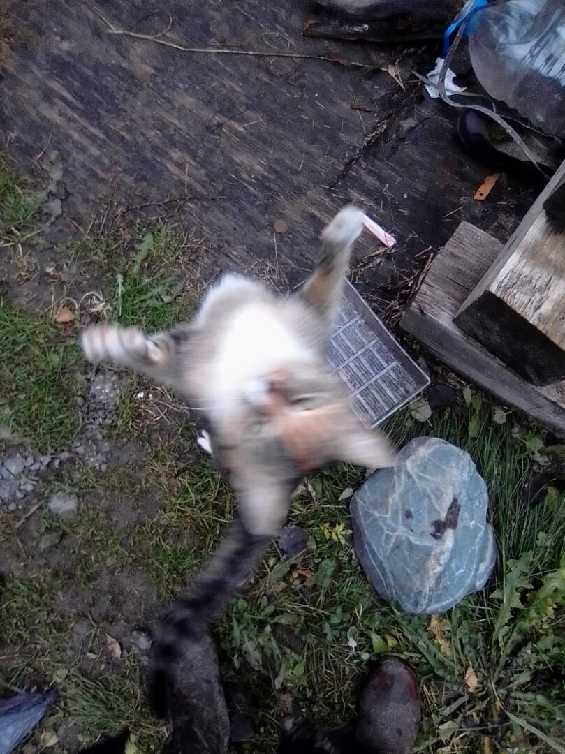 Она сайгак еще тот.