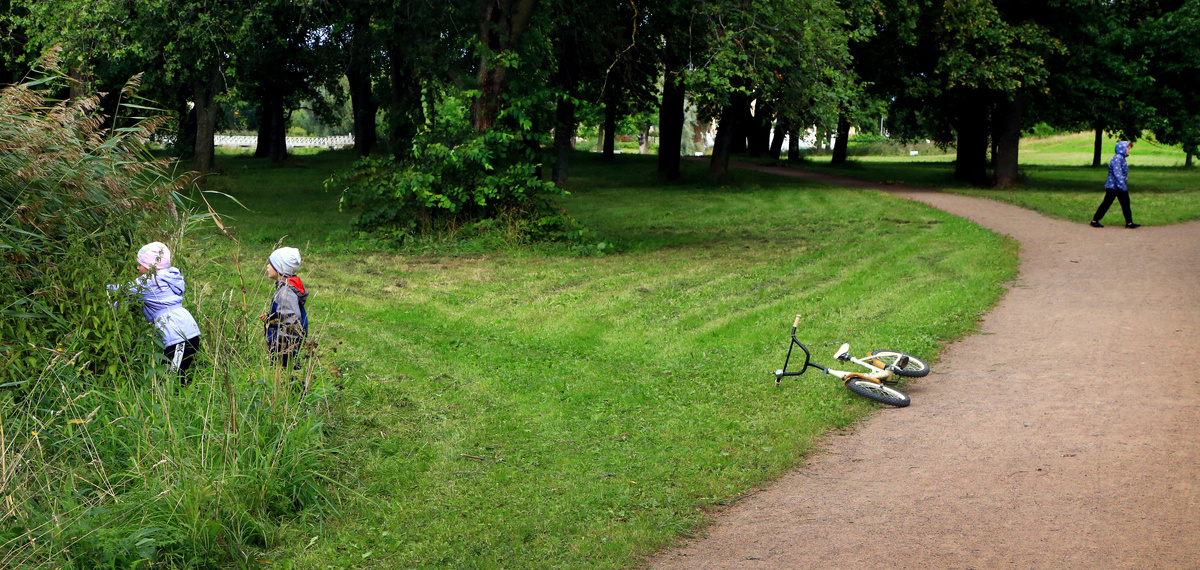 г.Петергоф.Колонисткий парк