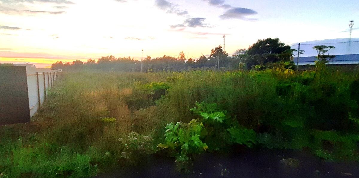 Не оформленная заброшка. Однако первичные документы на неё имеются. 