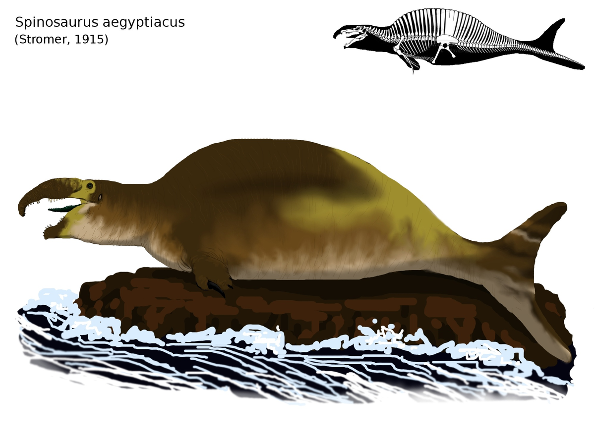 А немецкий автор Адриан Виммер вообще изобразил многострадального динозавра натуральным тюленем.