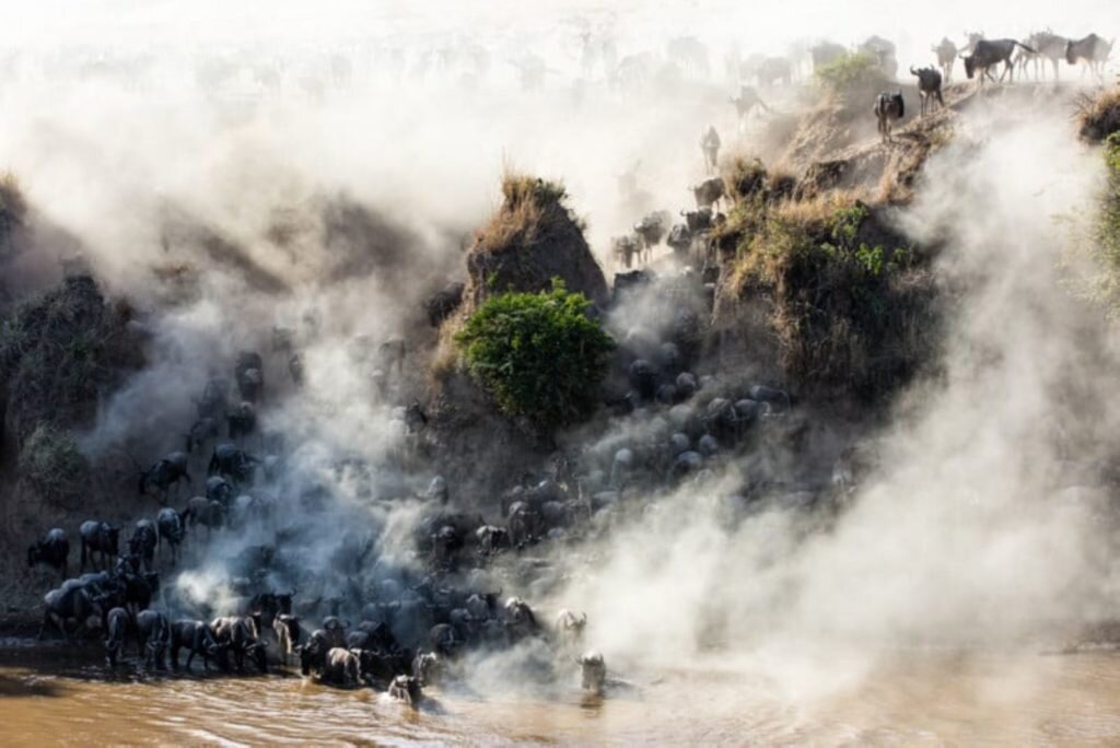     Фото: Trevor McCall-Peat