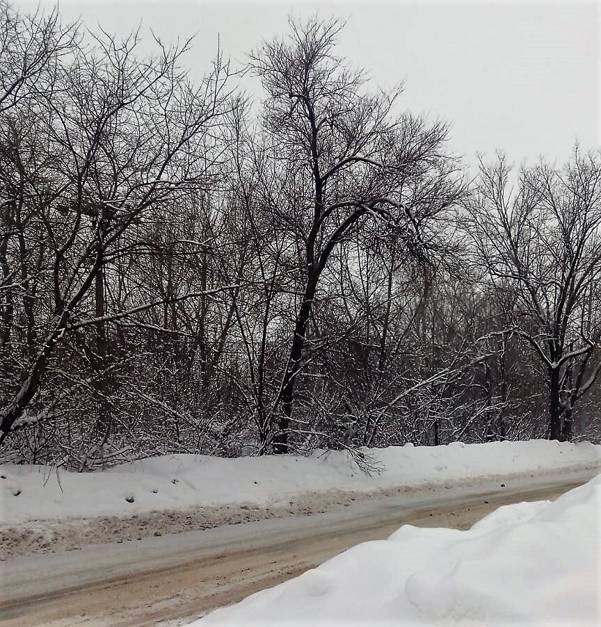 Фото из архива автора