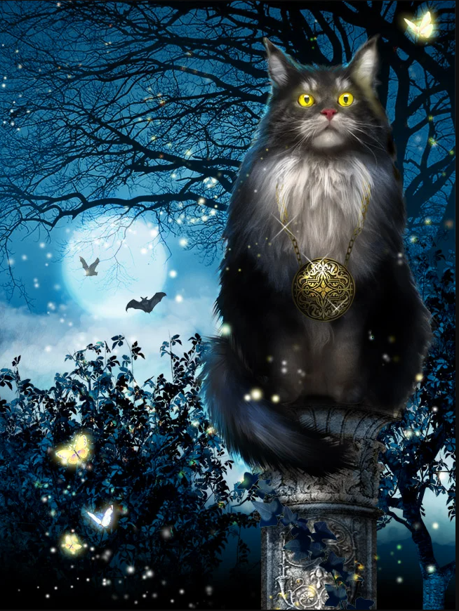 Фото из открытого источника.