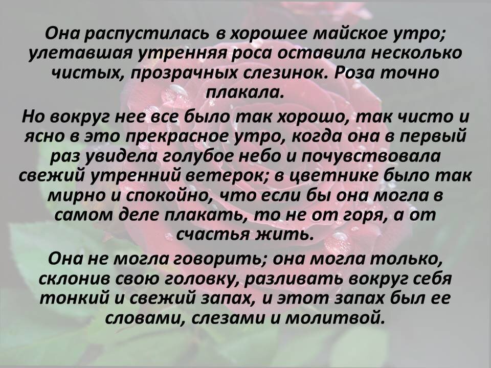 Всеволод Михайлович Гаршин. Сказка "О жабе и розе"
