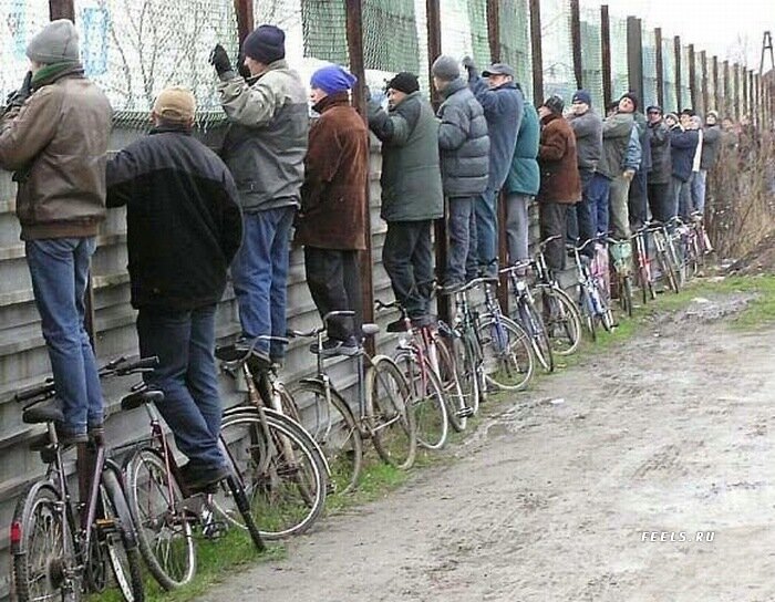 так работодатель видет очередь за забором (яндекс картинки)