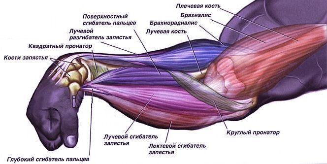 Разрыв мышцы