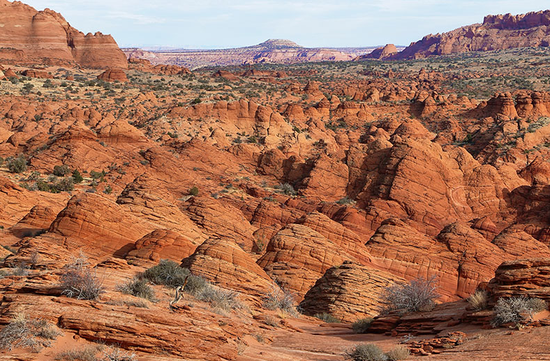 Однако это не совсем привычная в нашем понимании пустыня. Это не барханы с песком