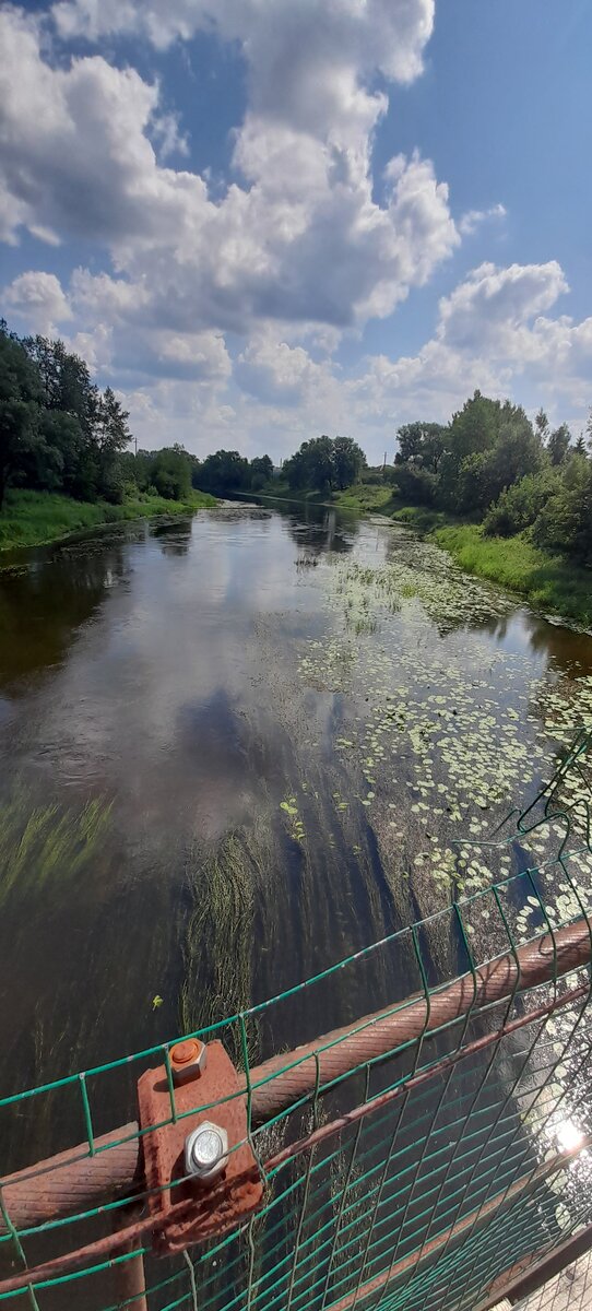 Фотографировала с моста. Водоросли занимают половину реки, такими темпами скоро вместо речки болото будет