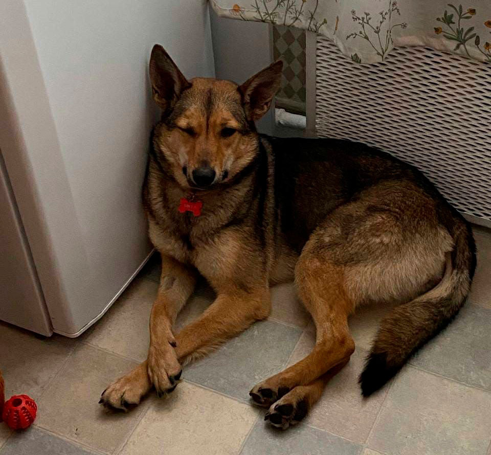 И такая Вита дома!