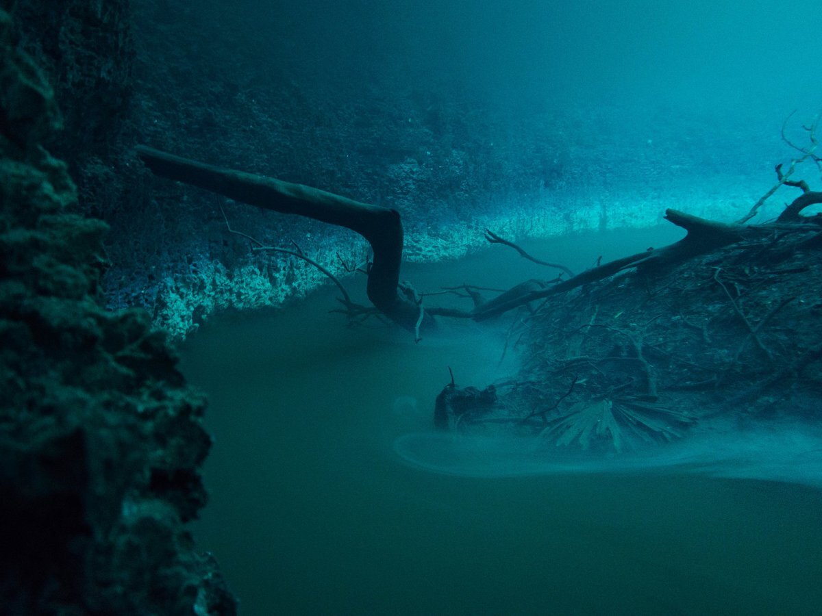 Мрачные пейзажи подводной реки