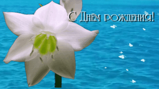 Картинка гифка с Днем рождения девушке женщине сестре подруге.