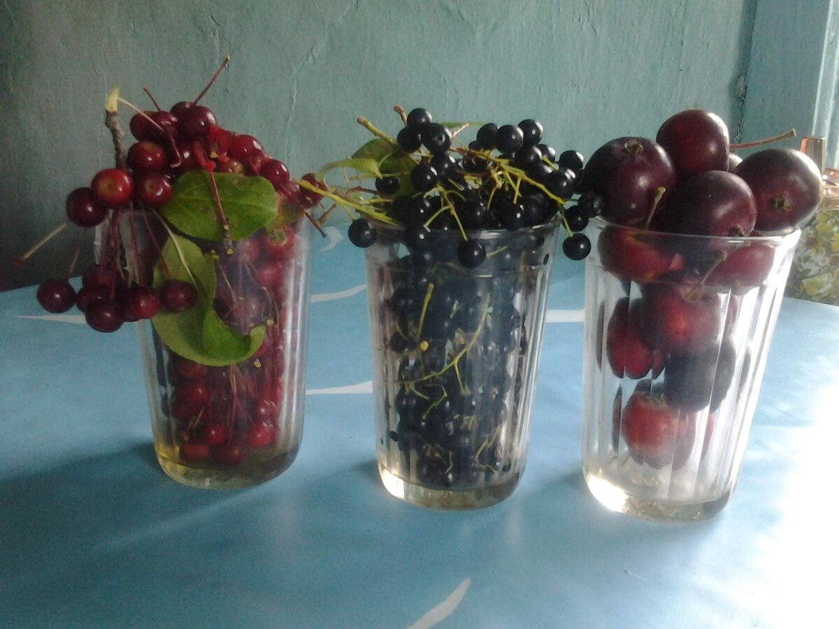 Из сада моей бабушки