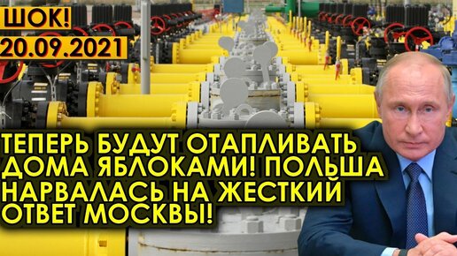 Немцы о путине. Путина топить дровами будете. Будете топить. Дизраэли дровами буду украина. Топят углем в новосибирске.