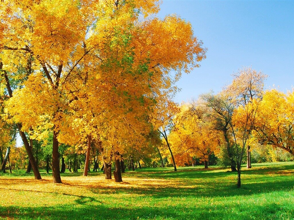 Фото сети