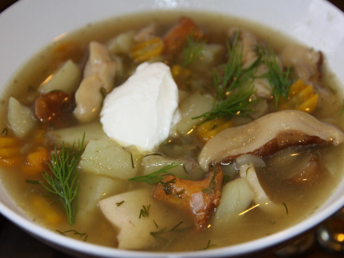 Грибная из замороженных грибов. Грибной суп наваристый. Суп груздянка. Грибной суп из белых грибов. Грибной суп из замороженных лесных грибов.