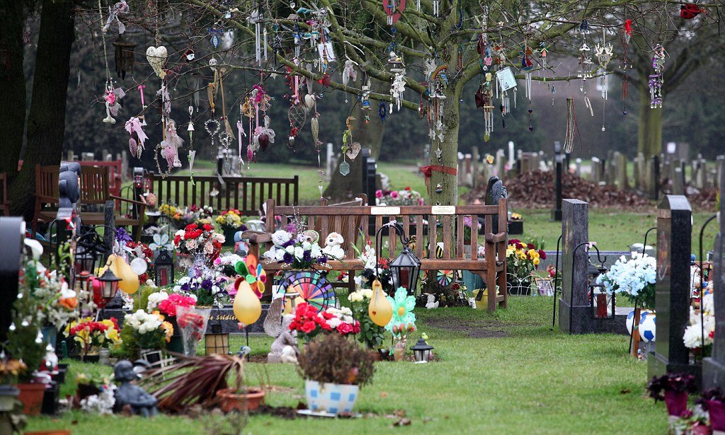 фото взято из открытого источника Яндекс-картинки