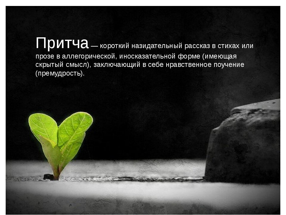 Притчи в картинках о жизни