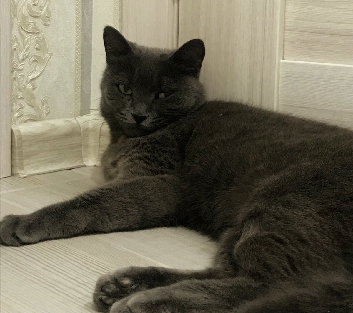 Ну что? Как оно? Пострадать ни за что?