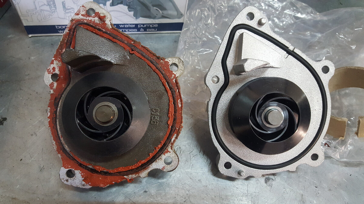 Фото взято с Яндекс картинки.