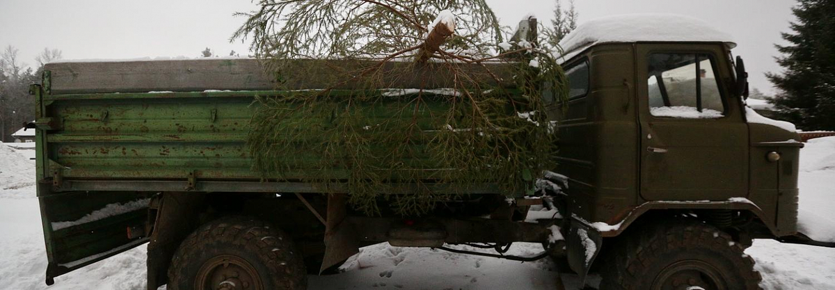 Фото: nsknews.info