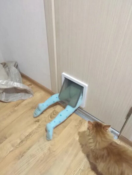 Ребёнок с легкостью пролезает тоже) Фото взято из отзывов на ozon.