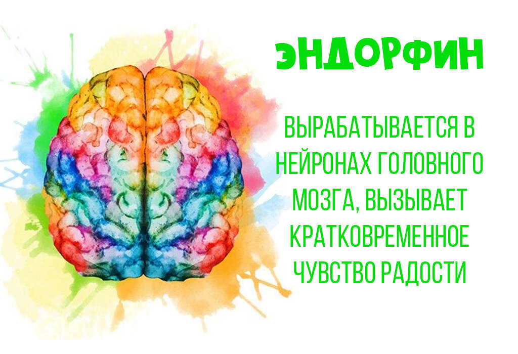 Гормон боли и счастья: что такое эндорфин и зачем он нужен