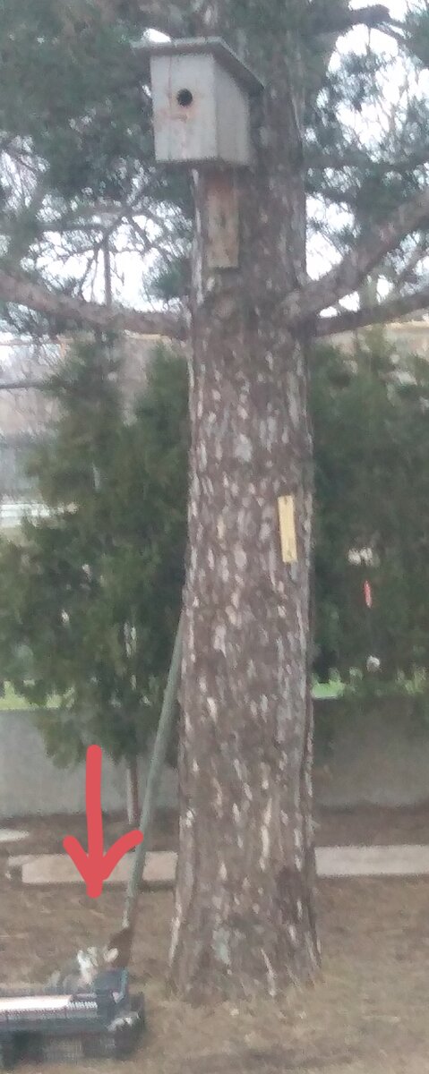 Тоже неплохая тактика