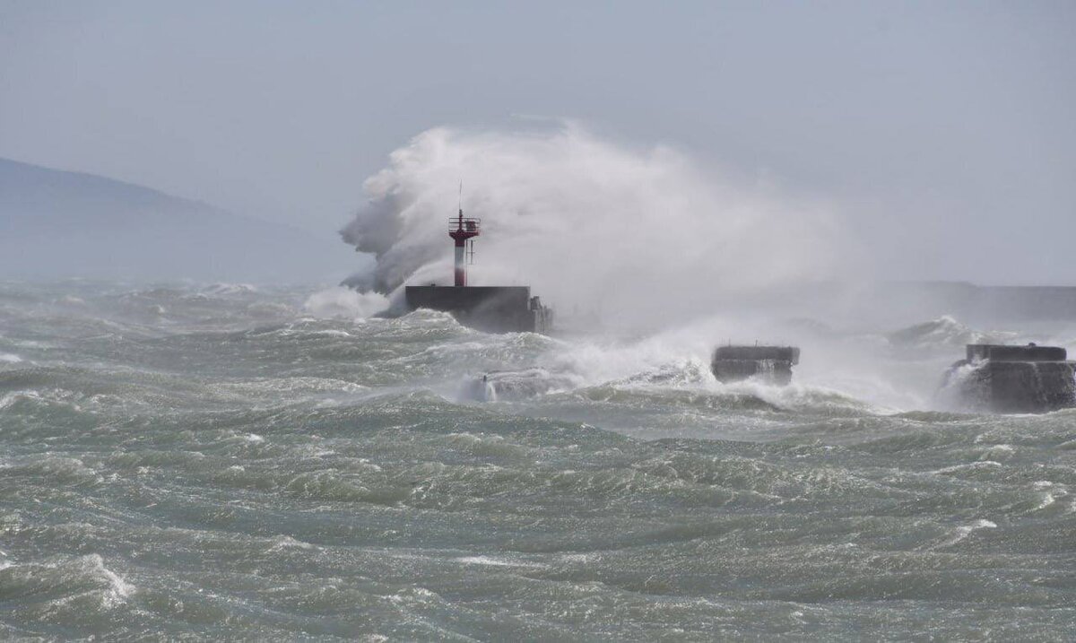 Фото из новостного канала г. Новороссийск в день нашей поездки. 